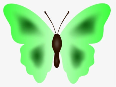 Butterfly In Green Color - Butterfly, HD Png Download, Transparent PNG