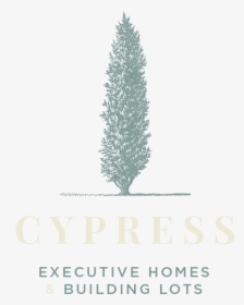 Logo Cypress White - Christmas Tree, HD Png Download, Transparent PNG