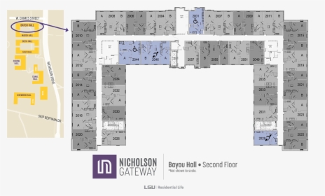 Nicholson Gateway Apartments Floor Plans - Bayou Hall Lsu, HD Png Download, Transparent PNG