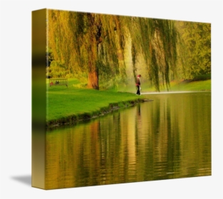 Willow Drawing Nature - Picture Frame, HD Png Download, Transparent PNG