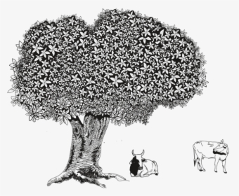 Tree, HD Png Download, Transparent PNG