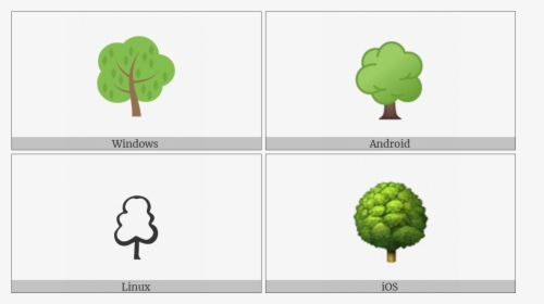 Deciduous Tree On Various Operating Systems - Broccoli, HD Png Download, Transparent PNG