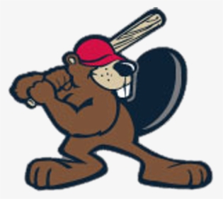 Cartoon Beavers Play Baseball, HD Png Download, Transparent PNG