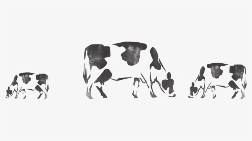 Cattle - Dairy Cow, HD Png Download, Transparent PNG