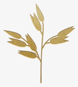 Oats - Sweet Birch, HD Png Download, Transparent PNG