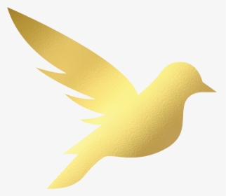 Gold Sparrow Marketing - Sparrow Gold, HD Png Download, Transparent PNG