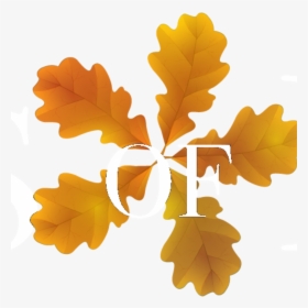 Maple Leaf, HD Png Download, Transparent PNG