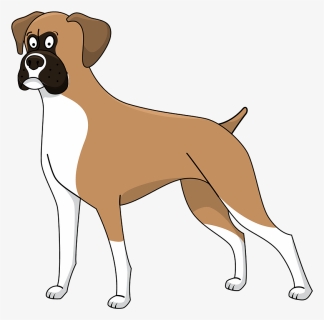 Boxer, HD Png Download, Transparent PNG