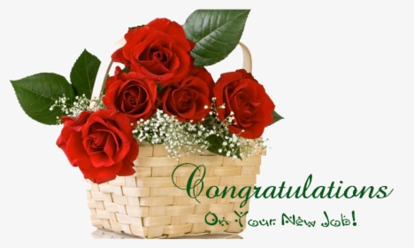 Congratulations Images With Flowers Png - Happy Rose Day Friends, Transparent Png, Transparent PNG