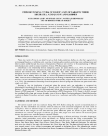 Document, HD Png Download, Transparent PNG