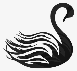 Black Swan Clipart Png, Transparent Png, Transparent PNG