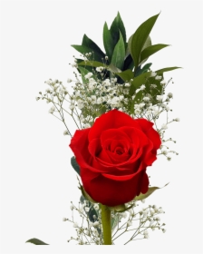 Single Red Rose With Greenery Valentine S Day Arrangements - Rose, HD Png Download, Transparent PNG