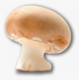 Champignon Mushroom, HD Png Download, Transparent PNG