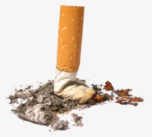 Cigarette Png Free Download - Don T Litter Cigarette Butts, Transparent Png, Transparent PNG