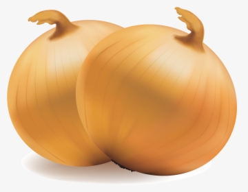 Yellow Onion, HD Png Download, Transparent PNG