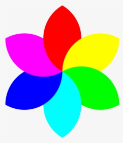 Thumb Image - Flower Color Wheel Drawing, HD Png Download, Transparent PNG