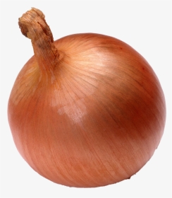 Onion Vegetable Seed Watermelon - Onion, HD Png Download, Transparent PNG