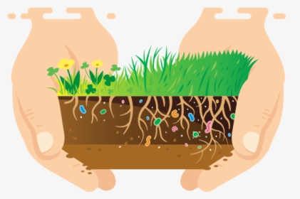 Illustration, HD Png Download, Transparent PNG