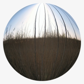 Circle, HD Png Download, Transparent PNG