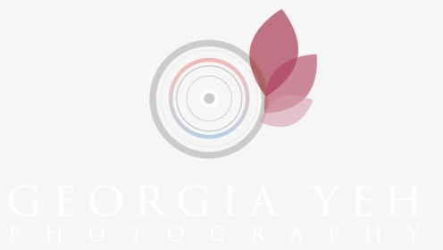 Circle, HD Png Download, Transparent PNG