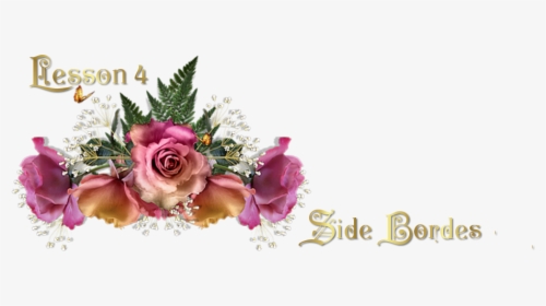 Header - Garden Roses, HD Png Download, Transparent PNG