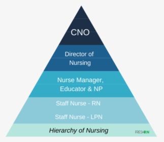 Hierarchy Of Nursing - Triangle, HD Png Download, Transparent PNG