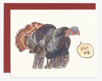 Humorous Holiday Greeting Card - Domesticated Turkey, HD Png Download, Transparent PNG