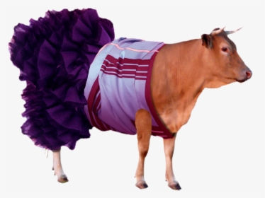 Cattle, HD Png Download, Transparent PNG