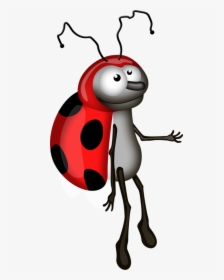 Drawing Ladybug Quick And Easy - Ladybug, HD Png Download, Transparent PNG