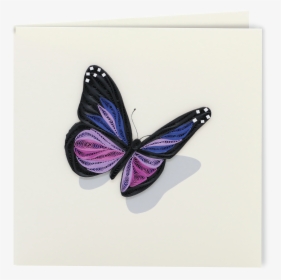 Butterfly - Limenitis, HD Png Download, Transparent PNG