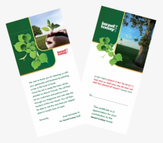 Help Plant The Land Of Israel By Planting A Trees In - Brochure, HD Png Download, Transparent PNG