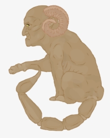 Rhesus Macaque, HD Png Download, Transparent PNG