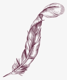 Hg Interiors Feather Purple Up - Illustration, HD Png Download, Transparent PNG