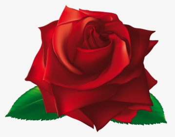 Transparent White Rose Border Png - Single Transparent Red Rose Flower, Png Download, Transparent PNG