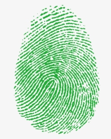 Image Scanner Elements Transprent Png Free Download - Transparent Green Fingerprint, Png Download, Transparent PNG