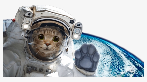 Astronaut Cat On Moon, HD Png Download, Transparent PNG
