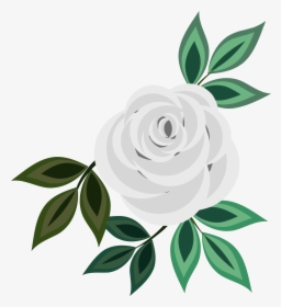 Transparent White Rose Png - White Rose Png Clipart, Png Download, Transparent PNG