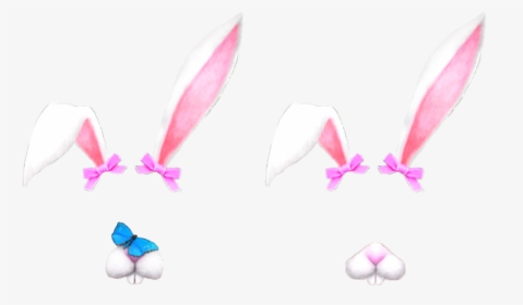 Bunnies, Bunny, And Filter Image - Portable Network Graphics, HD Png Download, Transparent PNG