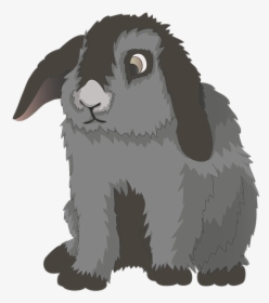 Rabbit, Hare, Munchkins, Pet, Digital Illustration - Hare Gjennomsiktig, HD Png Download, Transparent PNG