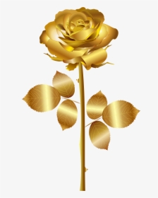 White Rose Clipart Png Format - Gold Rose Vector Png, Transparent Png, Transparent PNG