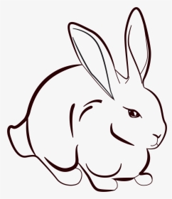 Drawing Bunnies Little Bunny Transparent Png Clipart - Art Drawing Of Rabbit, Png Download, Transparent PNG