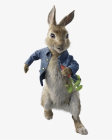 Mammal,rabbit,rabbits And Hares,hare,domestic Rabbit,wood - Peter Rabbit 2018 Characters, HD Png Download, Transparent PNG