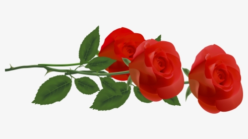 Rose Flower Clip Art - Clip Art, HD Png Download, Transparent PNG