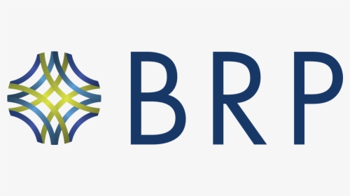 Logo - Baldwin Risk Partners Logo, HD Png Download, Transparent PNG