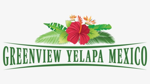 Greenview Yelapa Mexico Rentals Logo - Hawaiian Hibiscus, HD Png Download, Transparent PNG