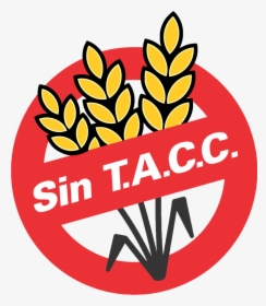 Sin Tacc, HD Png Download, Transparent PNG