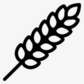 Wheat - Icon Wheat Svg, HD Png Download, Transparent PNG