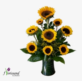 Transparent Hojas Verdes Png - Sunflower, Png Download, Transparent PNG