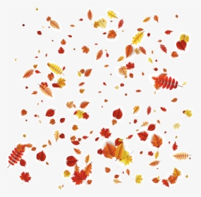 Petal Leaves Autumn Orange Vector Design Pattern Clipart - Autumn Leaves Falling Png, Transparent Png, Transparent PNG