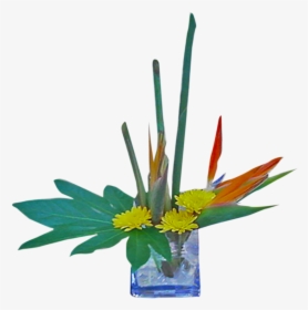 Transparent Bird Of Paradise Plant Png - Bouquet, Png Download, Transparent PNG